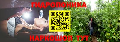 гидропоника Кулебаки